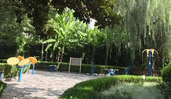 夏之花